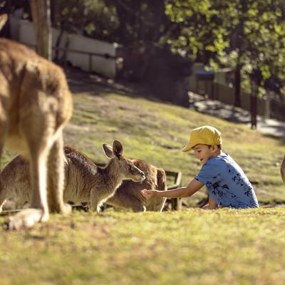 CURRUMBIN WILDLIFE SANCTUARY