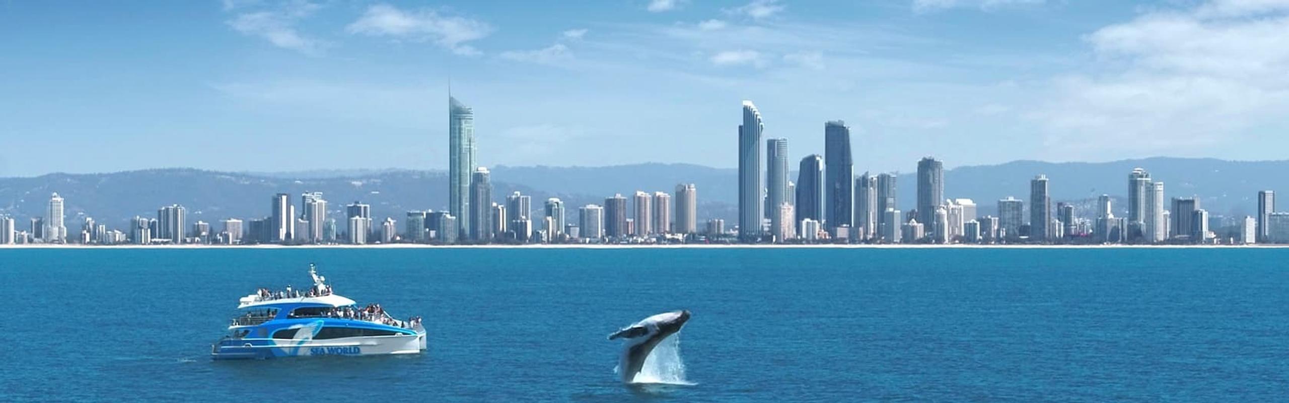 DGC_NZ_WHALE_WEB